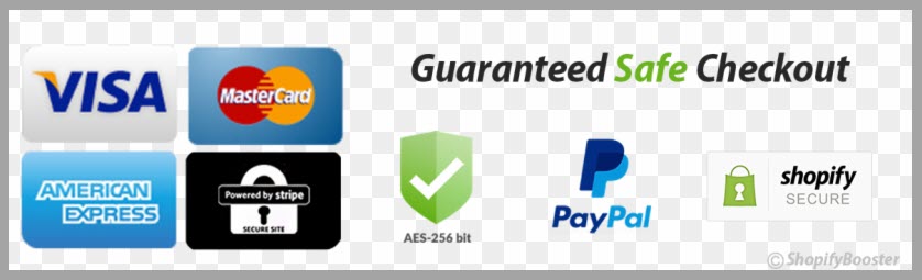 Guaranteed Safe Checkout Payment Providers